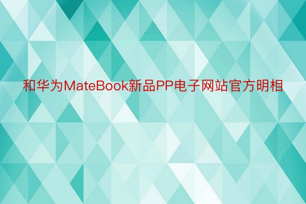 和华为MateBook新品PP电子网站官方明相