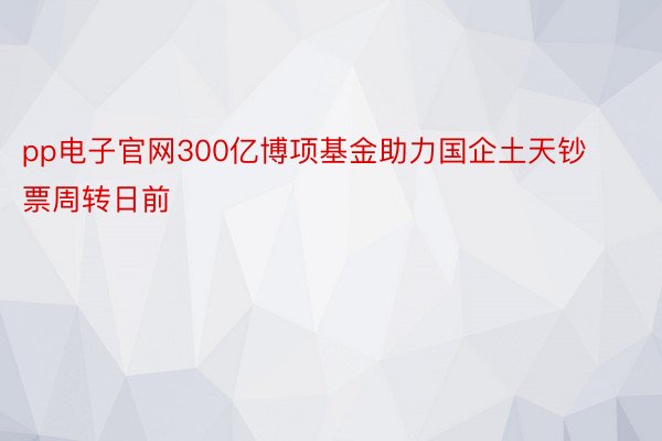 pp电子官网300亿博项基金助力国企土天钞票周转日前