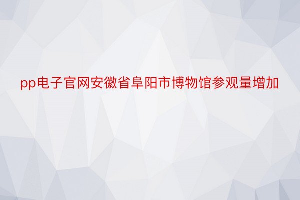 pp电子官网安徽省阜阳市博物馆参观量增加